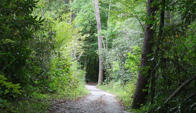 SM-Oconaluftee-River-Trail_FlickrMikeKalasnik_680 The Oconaluftee River Trail by Mike Kalasnik via Flickr