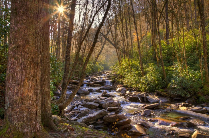 SM-Stream_FlickrPhilHorton_1000 September Stream in Great Smoky