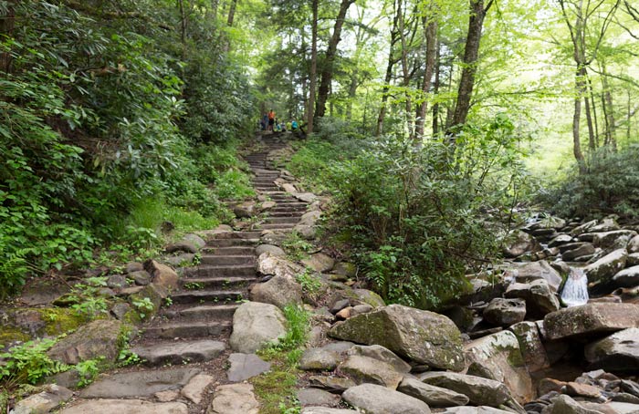 SM-ChimneyTopsTrail_FlickrMikeOswald_700 Chimney Tops Trail in Great Smoky Mountains National Park