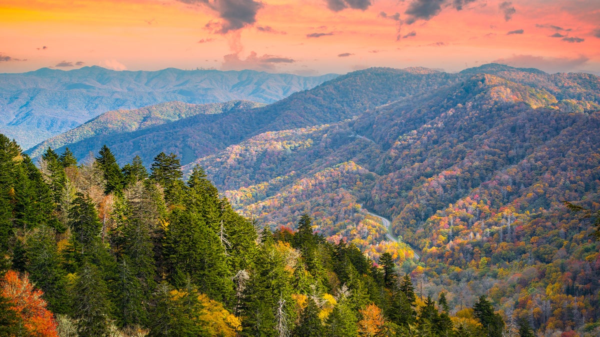 10 Best Things to Do on a Great Smoky Mountains National Park Vacation