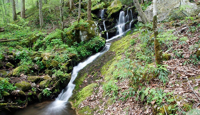 SM-waterfall-Place-of-1000-Drips_iStock_680 Waterfall aptly named Place of a Thousand Drips on the Roaring Fork Motor Nature Trail.