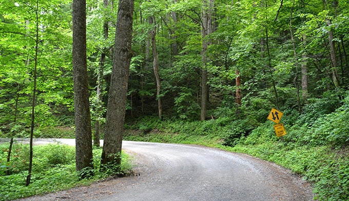 SM-Road-to-Cataloochee_Gloria_680 The road to Cataloochee Valley.