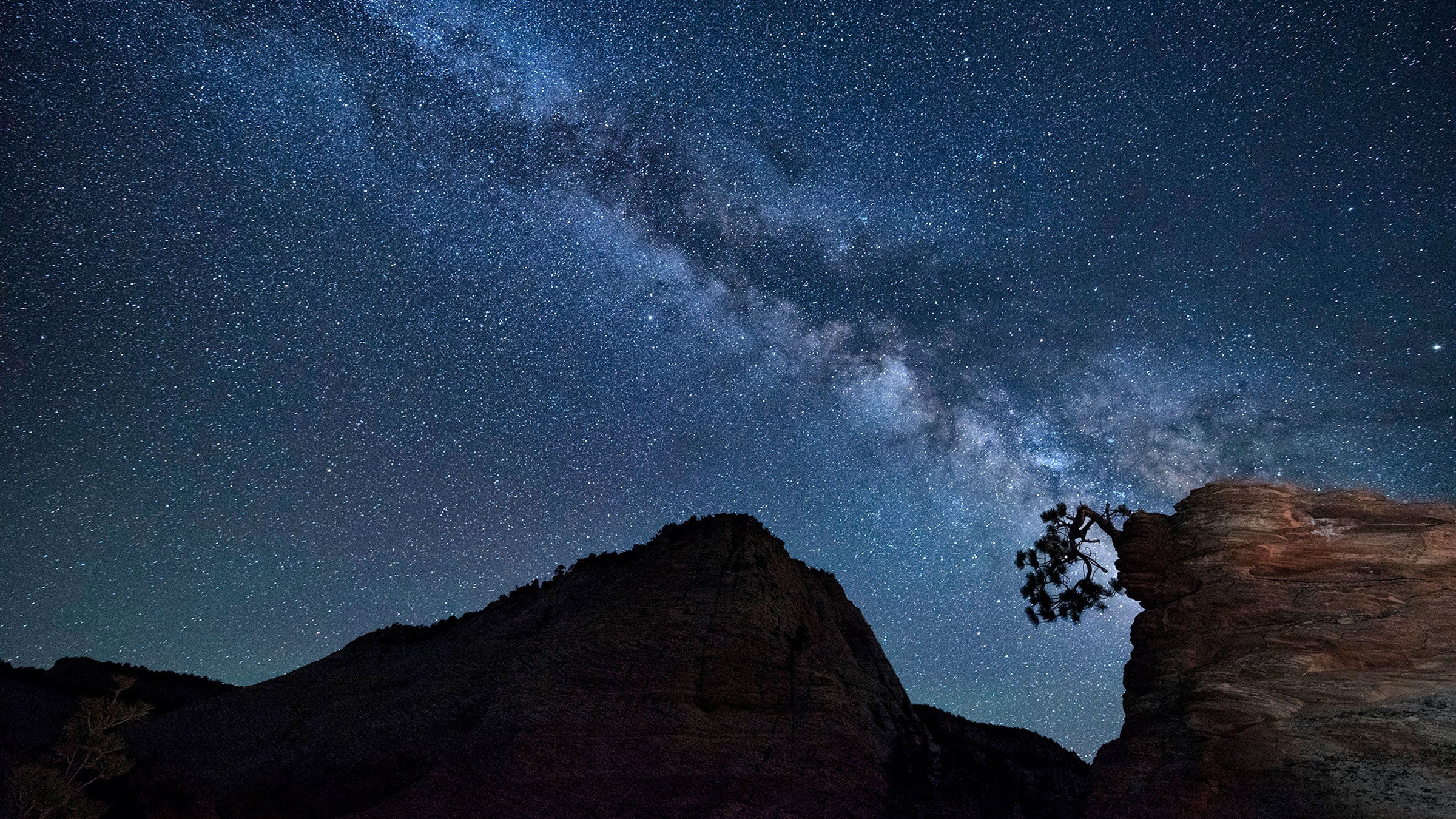 Milky Way behind a tree's rocky perch at Zion National Park