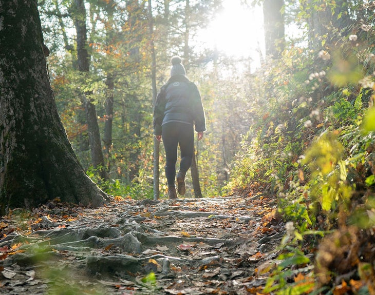Hiking in the Smoky Mountains