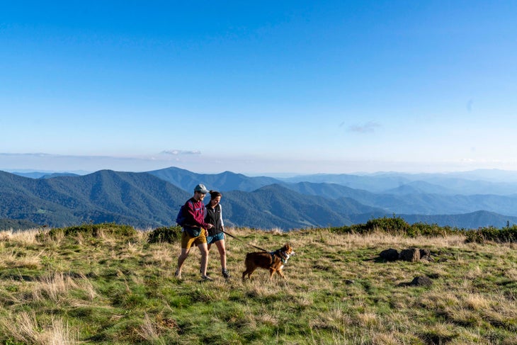 Hiking on a Roan Mountain bald north of Great Smoky Mountains National Park