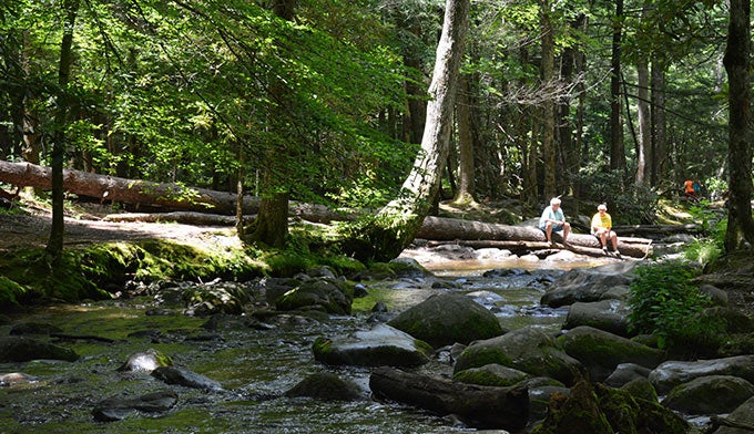 SM-Cades-Cove-Picnic-area-creek_Gloria_680 The creek beside the Cades Cove Picnic Area in Great Smoky Mountains National Park. Photo by Gloria Wadzinski