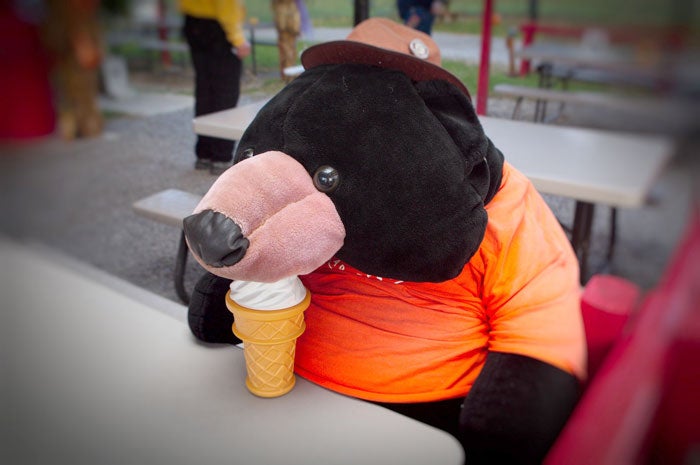 TN-Burgermaster_PermissionFlickrJudJohnson_700 Barbob's Burgermaster bear at outdoor seating