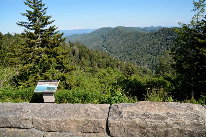 SM-NewfoundGap-overlook_Gloria_700 Interpretive walk along the Newfound Gap overlook