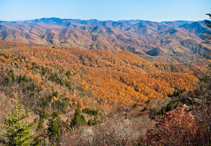 BlueRidgeParkway-ViewFrom-WaterrockKnob_iStock_700 View from Waterrock Knob on the Blue Ridge Parkway