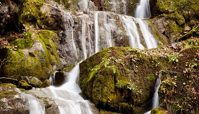 SM-Place-of-1000-Drips_Adobe_680 Closeup of Place of 1000 Drips in Great Smoky Mountains National Park