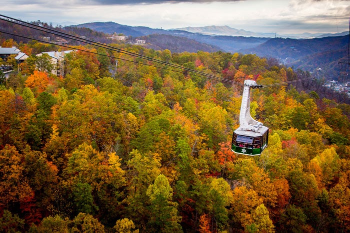 OberGatlinburg-autumn-tram-8993_courtesy_700 The Ober Gatlinburg tram ascending from Gatlinburg, Tennessee in autumn next to Great Smoky Mountains National Park