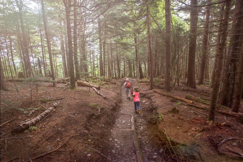 SM-AndrewsBald-children_TamLaurenKennedy_800 Children playing while hiking a misty Forney Ridge Trail on Andrew Bald in Great Smoky Mountains National Park
