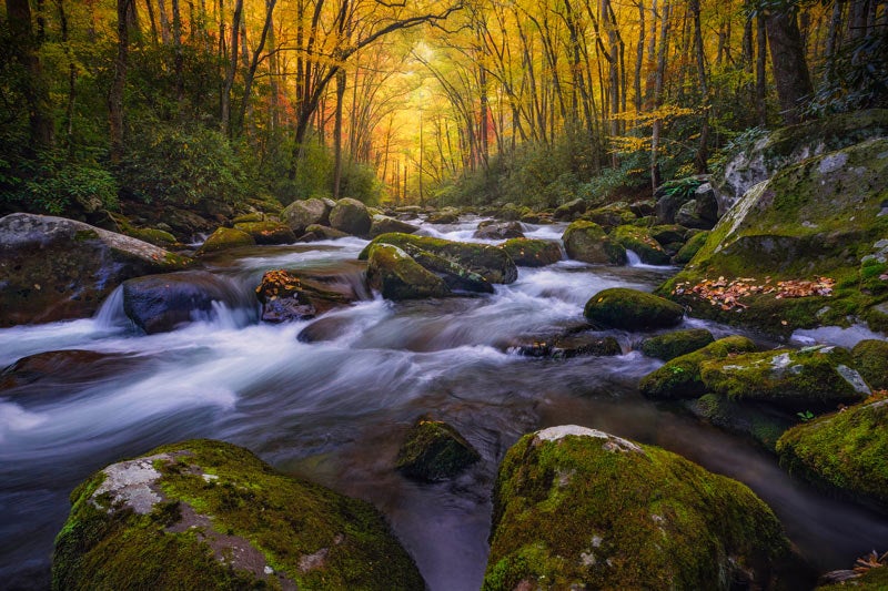 SM-autumn-stream_Tam19JoseTorres_800 Autumn glow on a Smoky Mountain stream