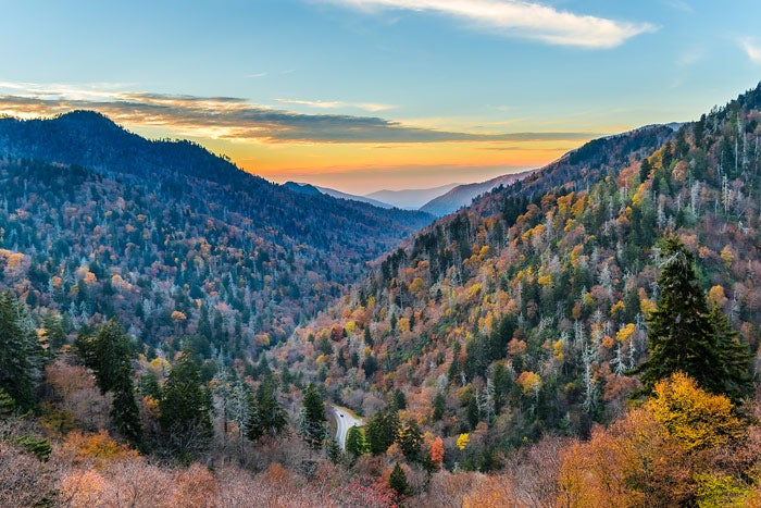 SM-autumn-sunset-road_TamPatriciaGiraldo_700 Scenic Smoky Mountain drive at sunset in autumn
