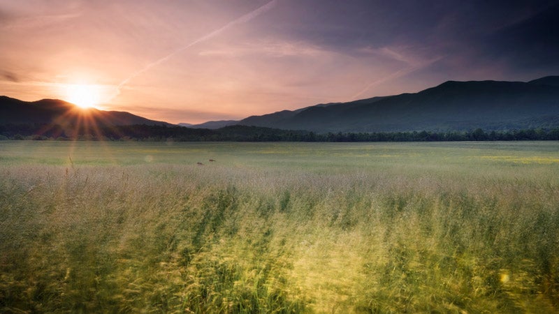 SM-Cades-Cove-sunrise-deer_TamPatrickMorgan_800 Cades Cove sunrise while deer graze in Great Smoky Mountains National Park