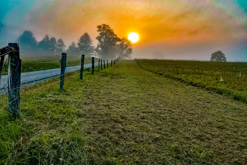 SM-CadesCove-MistyMorning_TamJonathanHill_800 Misty Morning at Cades Cove in Great Smoky Mountain National Park