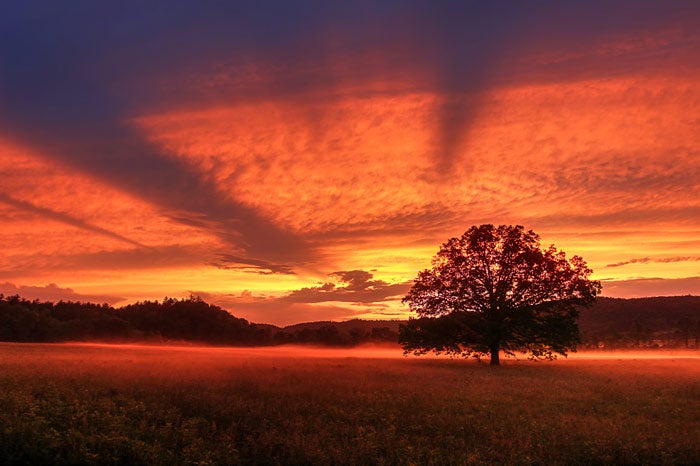 SM-CadesCove-RedSunset_Tam19NormanLathrop_700 Red sunset in Cades Cove