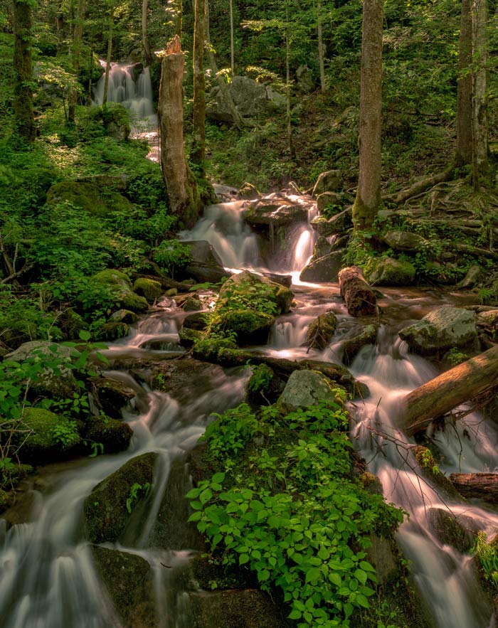 SM-cascade_Tam19TonyWayman_700v Smoky Mountain cascades