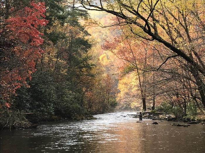 SM-Fishing-autumn_TamMattWaggoner_700 Fishing under a canopy of autumn trees in Great Smoky Mountains National Park