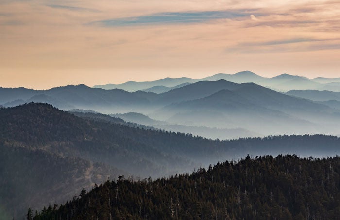 SM-mistysunrise_TamNelsonRudiak_700 Misty mountain sunrise in Great Smoky Mountains National Park