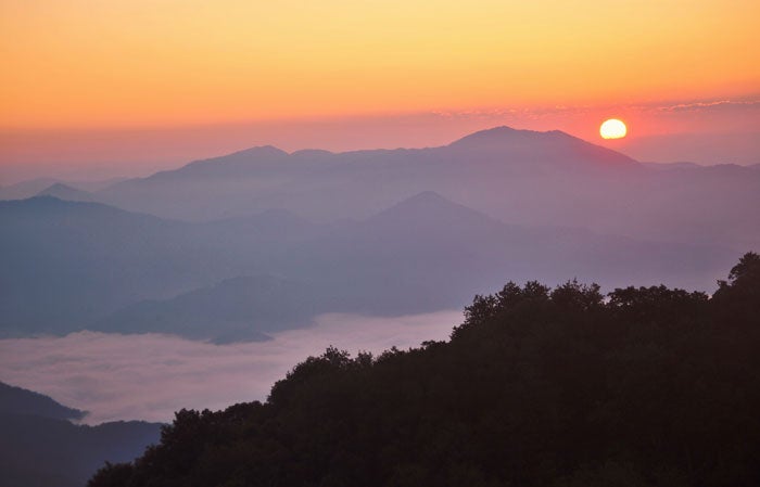 SM-Purchase-Knob-sunrise_TamPatriciaCox_700 Sunrise from Purchase Knob in Great Smoky Mountains National Park