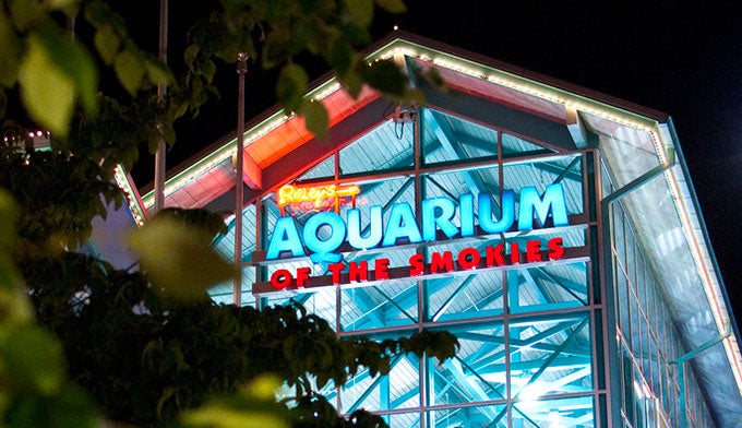 Gatlinburg-Aquarium-of-the-Smokies_WikiAliciaPimental_680 Ripley's Aquarium of the Smokies in Gatlinburg, Tennessee at night.